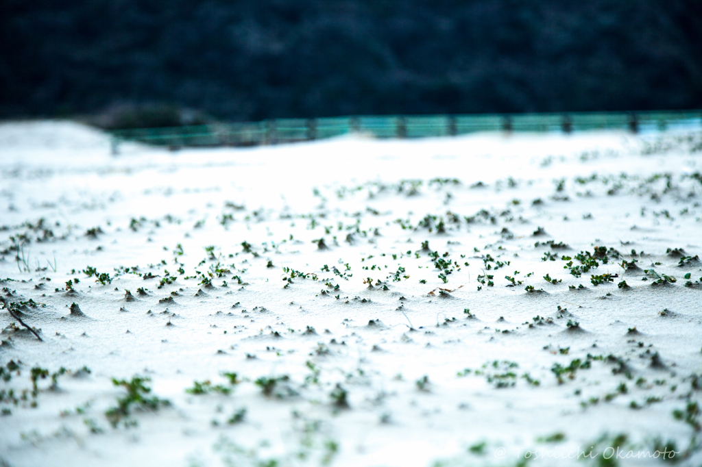 早春の浜辺にて…