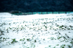 早春の浜辺にて…