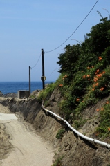 三浦岬　３