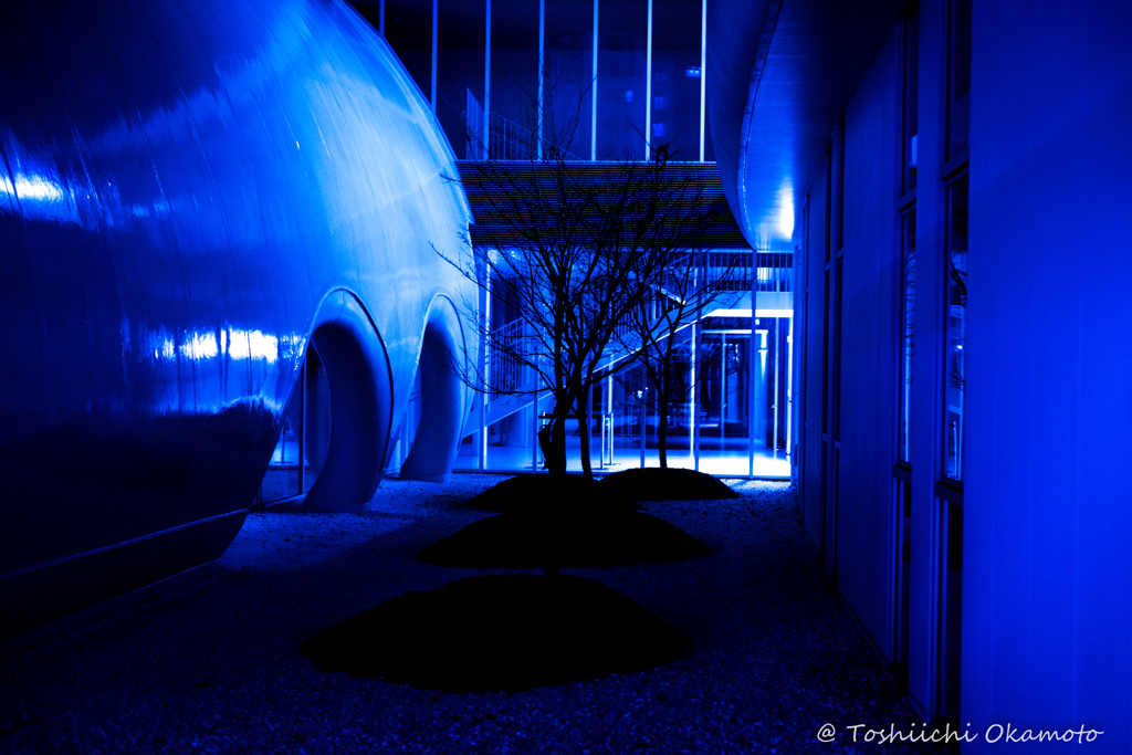 TOTO  Museum