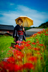 Aru着物婦人