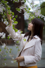 HOSHI☆　SAKURA