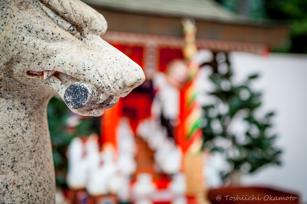 小倉　妙見神社23