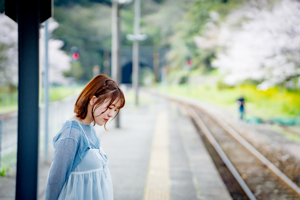 SATO　桜