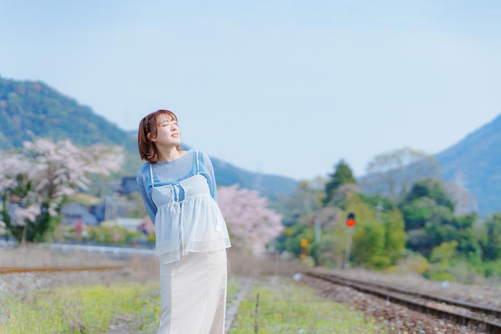 SATO 桜