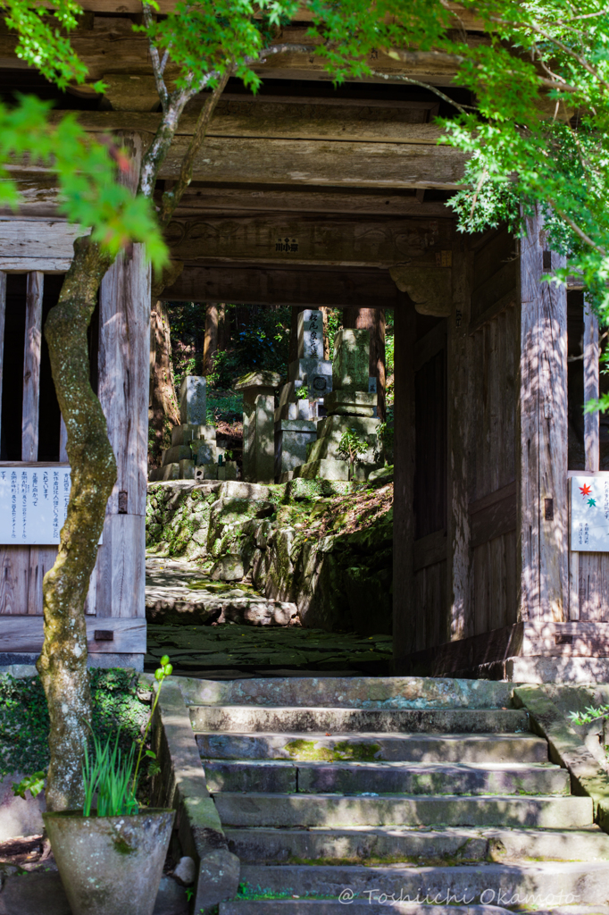 sanmon 山門
