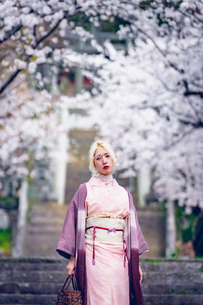 螺旋と桜