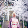 螺旋と桜