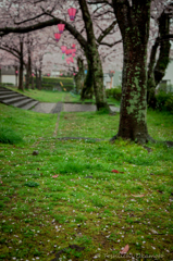 HananoEnn