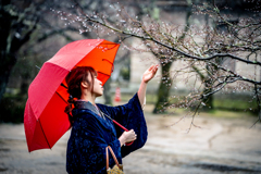 NATSUKI　雨の功山寺