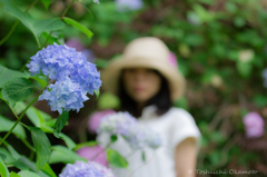 Mと紫陽花