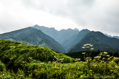 阿蘇情景3