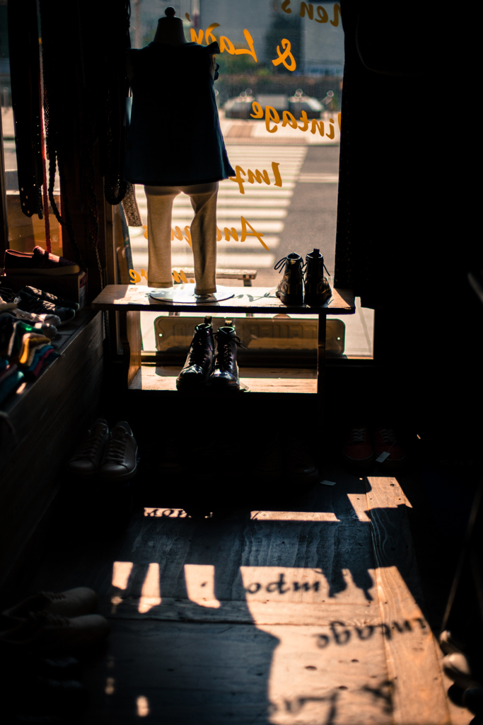 Clothing&Antiques Shop Fun