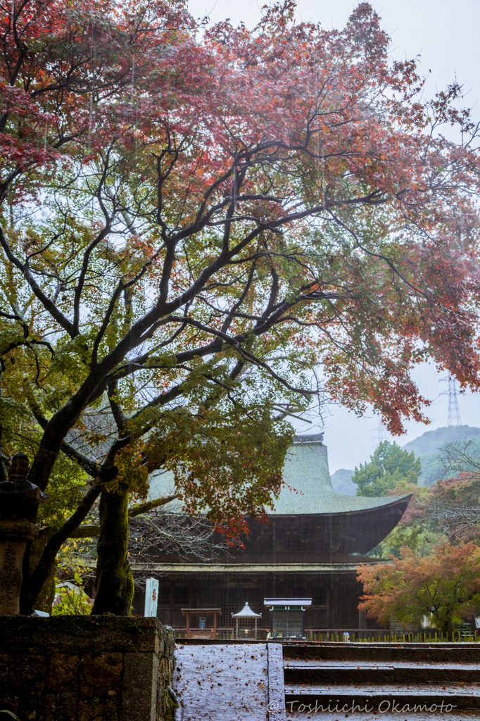 雨の功山寺５