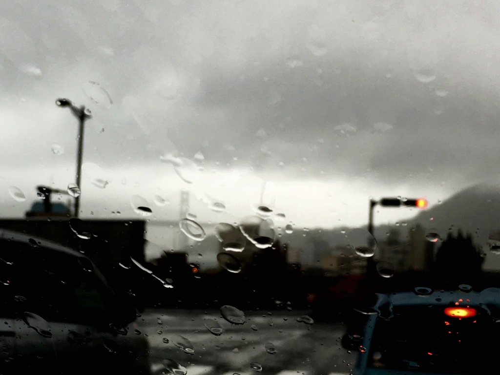 It's a rainy day