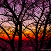 Magic Hour