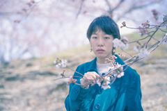 SHIHO 桜
