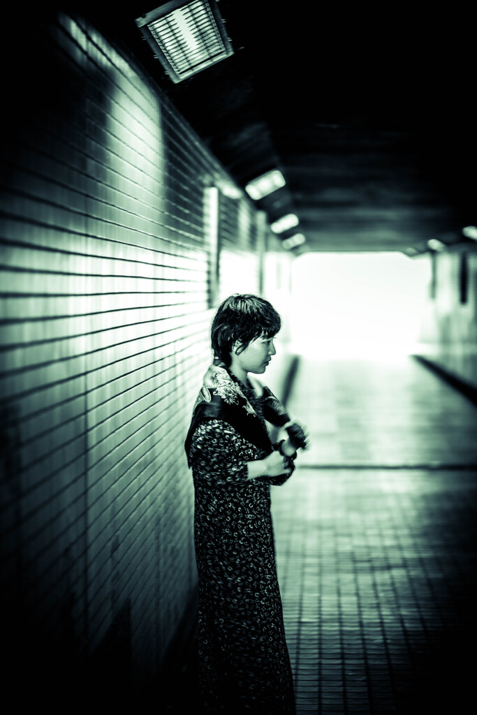 HIMI Monochrome