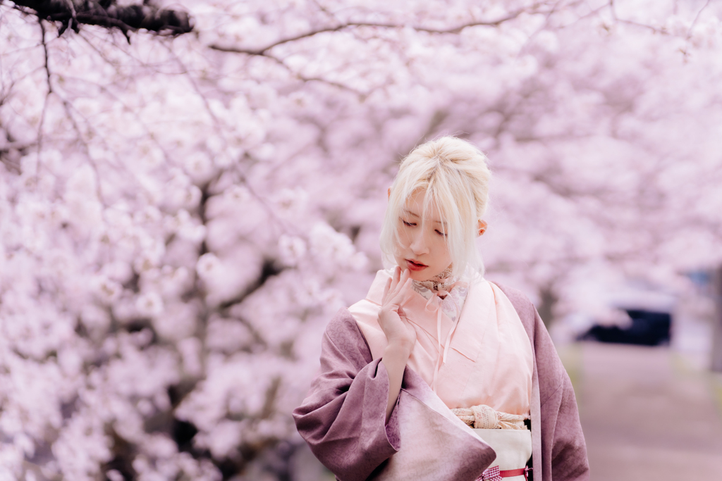 螺旋と桜