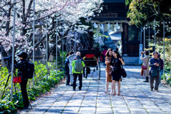 それぞれの春。。。