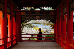 桜夢芝居・・・しほ