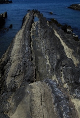 三浦岬　４