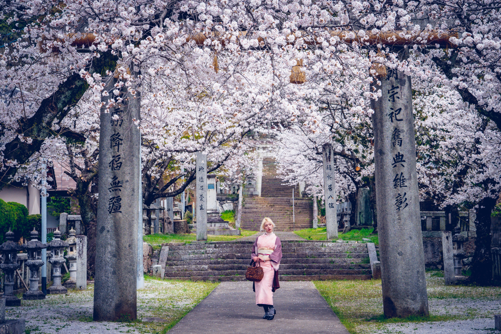 螺旋と桜