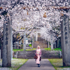 螺旋と桜