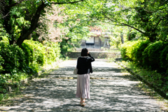 美しきひかり