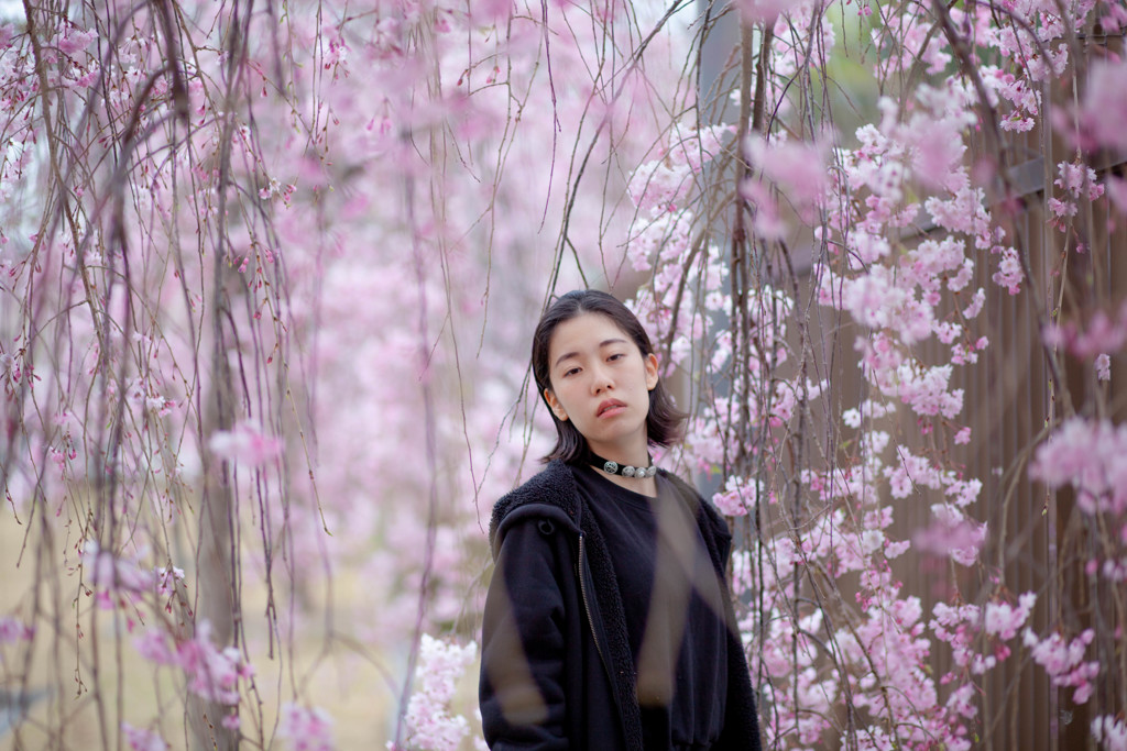SAKURA DE SHIHO
