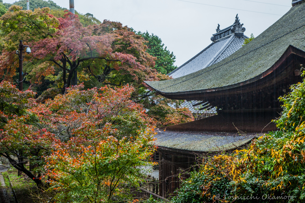 雨の功山寺8