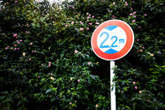 TAGAWA　GOTOUJI　STREET