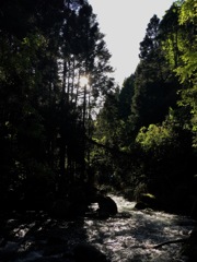 渓へ …