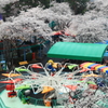DPP_0008