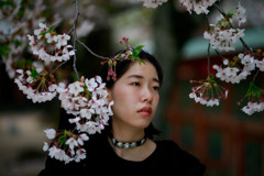 Shiho
