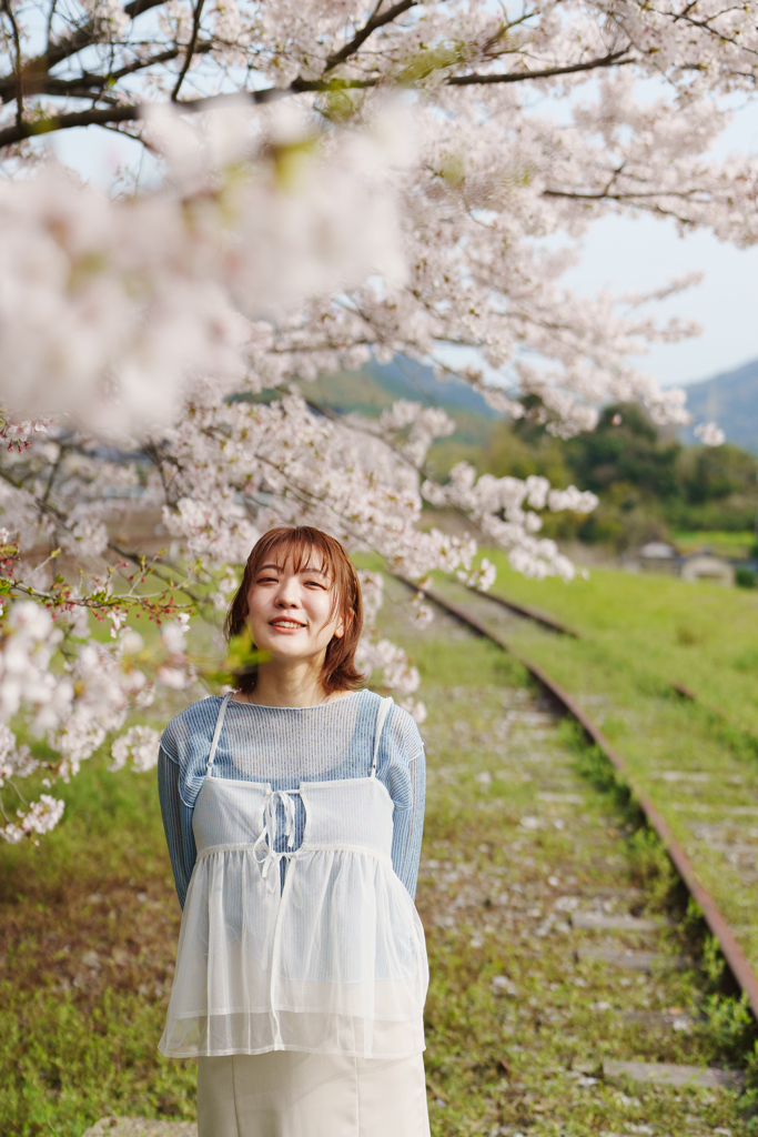SATO 桜　