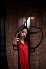 Shiho 竹原町街並み保存地区