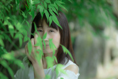 Lily　秋月散策