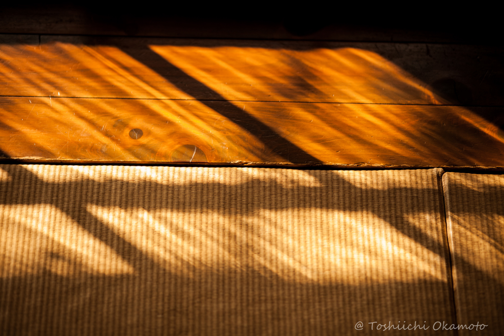 冬の日差し。。。