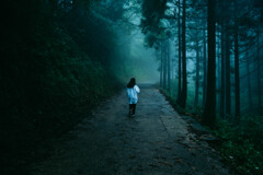 HANA Thick fog forest