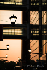 City Lights