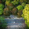 mavic mini