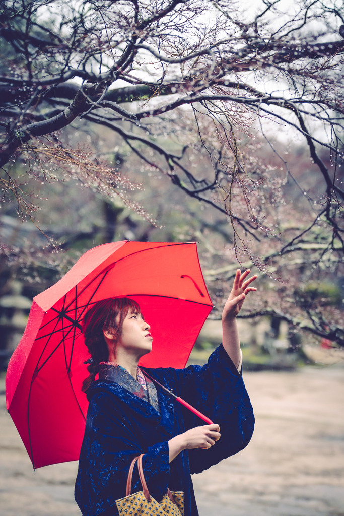 梅しずく