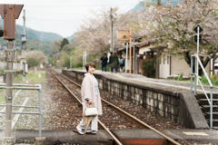 桜日和