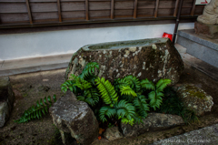 広寿山福聚寺8