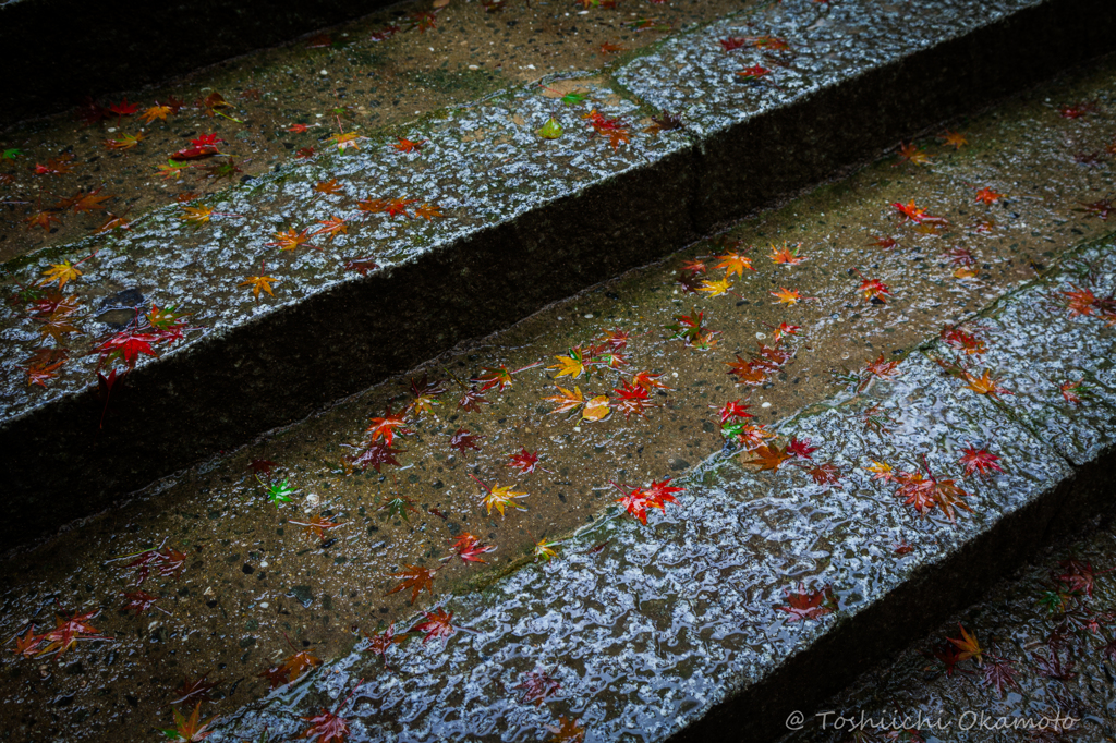 雨の功山寺３