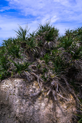 池間島