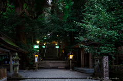 高千穂神社２