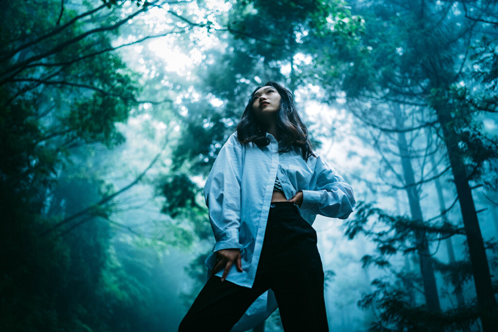 HANA Thick fog forest