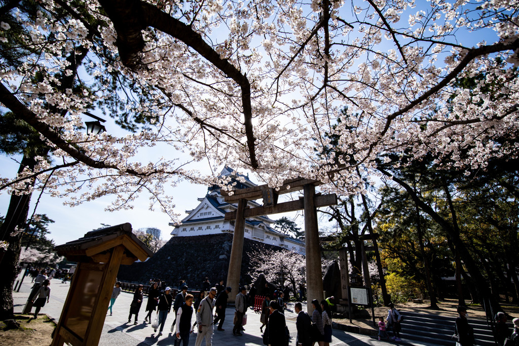 それぞれの春。。。